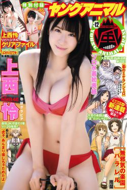 疯狂的背后